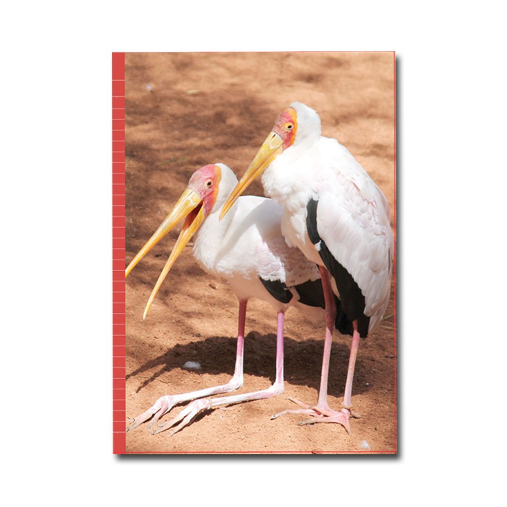 PaperClub 53372 A4 Designer Register Notebook | SoftBound Notebooks Size A4 Large 180 Pages. Superior Notebook For Students | School Supplies for Both Official and Personal use | Pack Of 12 Just in 1200Rs            Rs