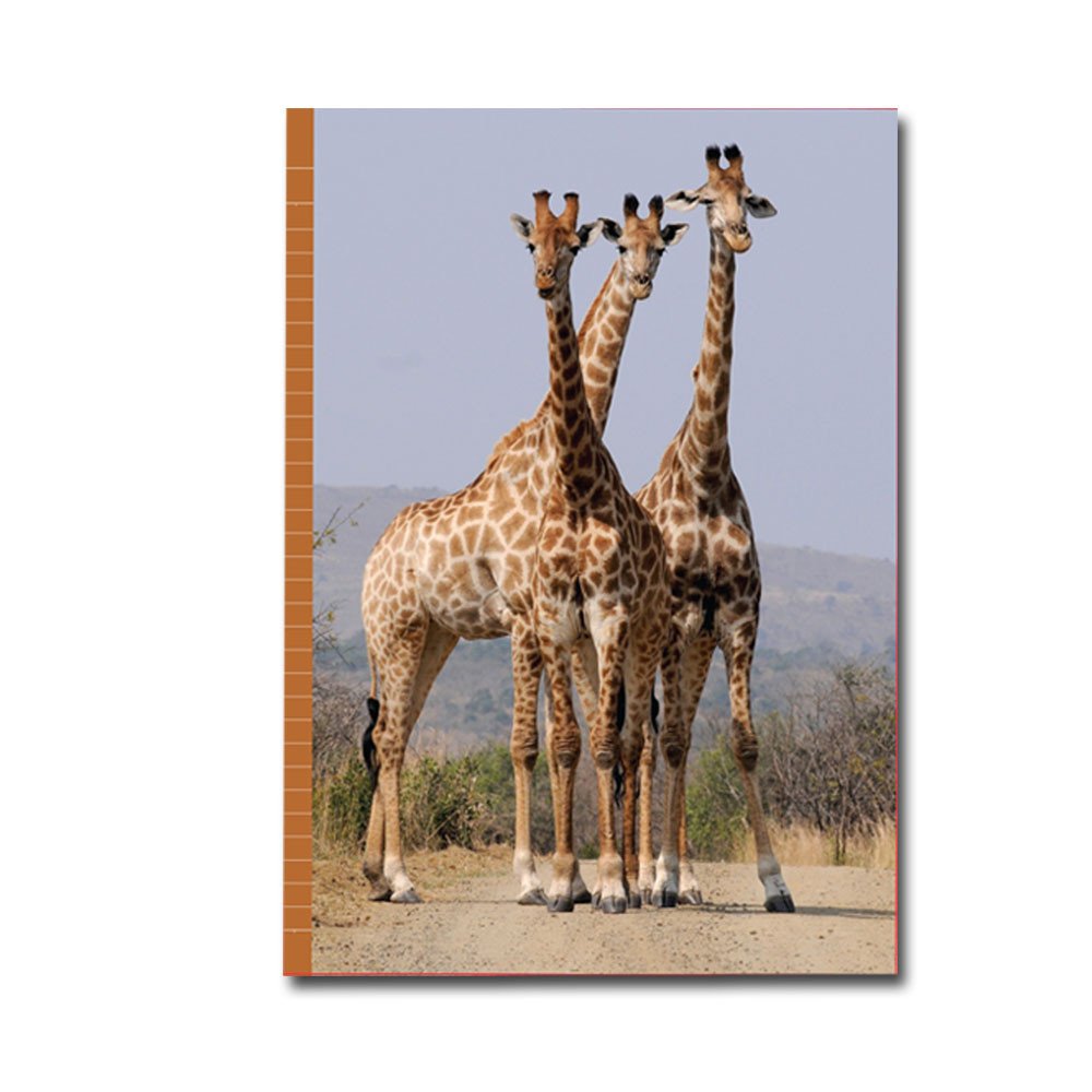PaperClub 53373 A4 Designer Register Notebook | SoftBound Notebooks Size A4 Large 210 Pages. Superior Notebook For Students | School Supplies for Both Official and Personal use | Pack Of 8 Just in 960Rs            Rs