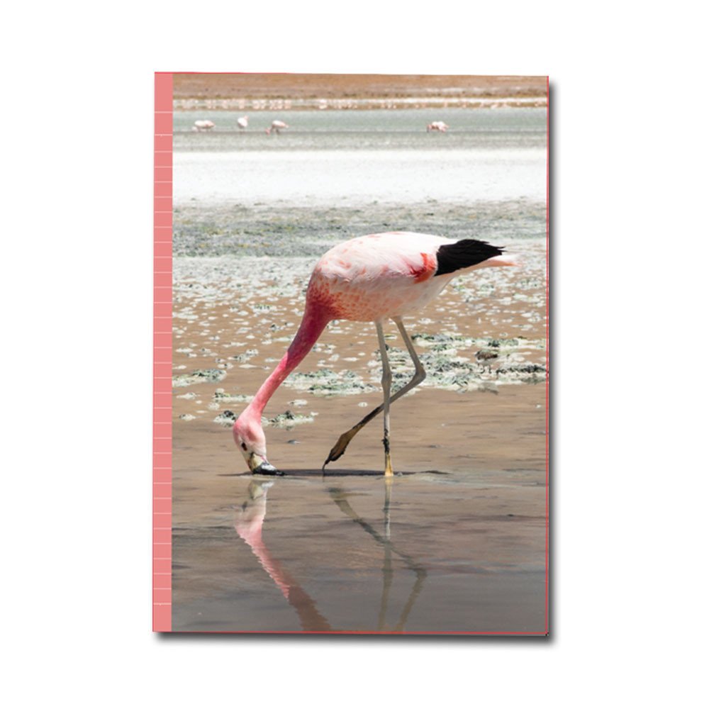 PaperClub 53373 A4 Designer Register Notebook | SoftBound Notebooks Size A4 Large 210 Pages. Superior Notebook For Students | School Supplies for Both Official and Personal use | Pack Of 8 Just in 960Rs            Rs