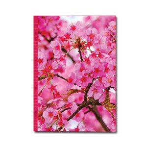 PaperClub 53374 A4 Designer Register Notebook | SoftBound Notebooks Size A4 Large 254 Pages. Superior Notebook For Students | School Supplies for Both Official and Personal use | Pack Of 8 Just in 1120Rs